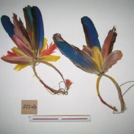 Imagem padrão