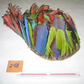 Imagem padrão