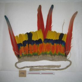 Imagem padrão